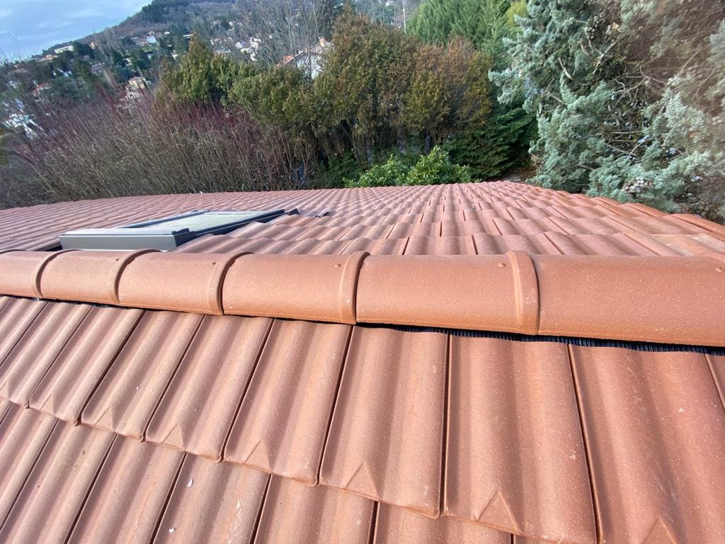 PHOTO-2021-02-15-17-45-28 5